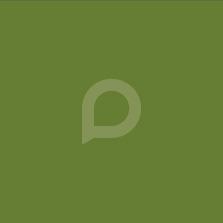 Pampas Group